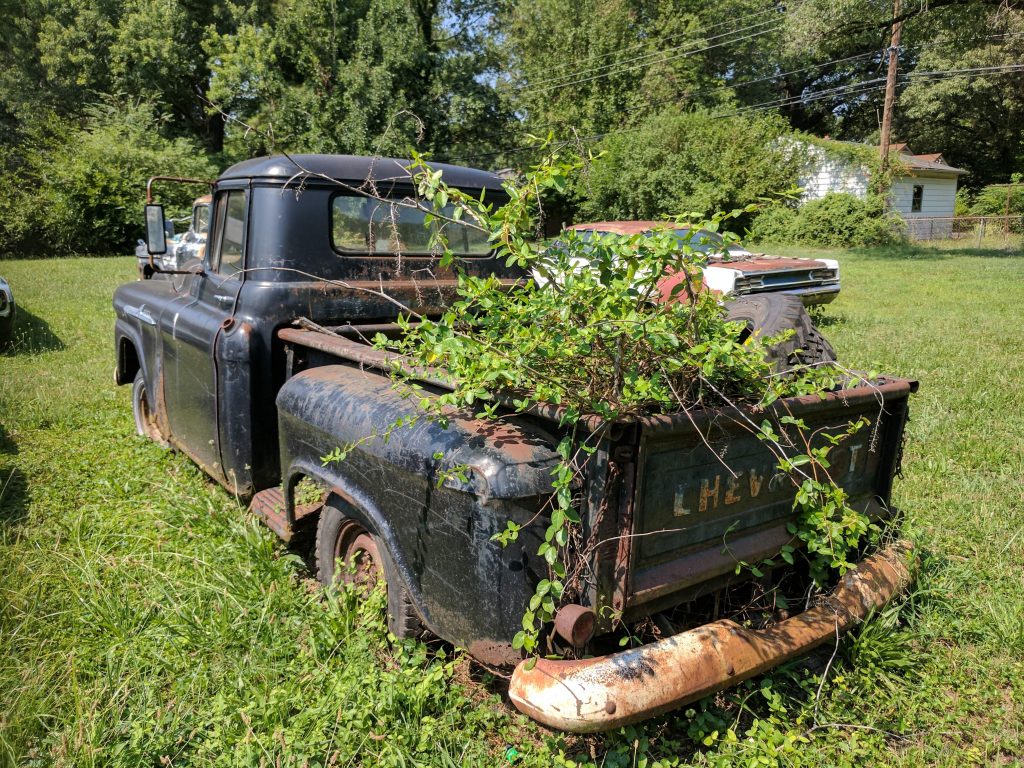 junk truck full of weeds